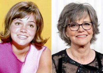 Sally Field stars Remarkably Bright Creatures